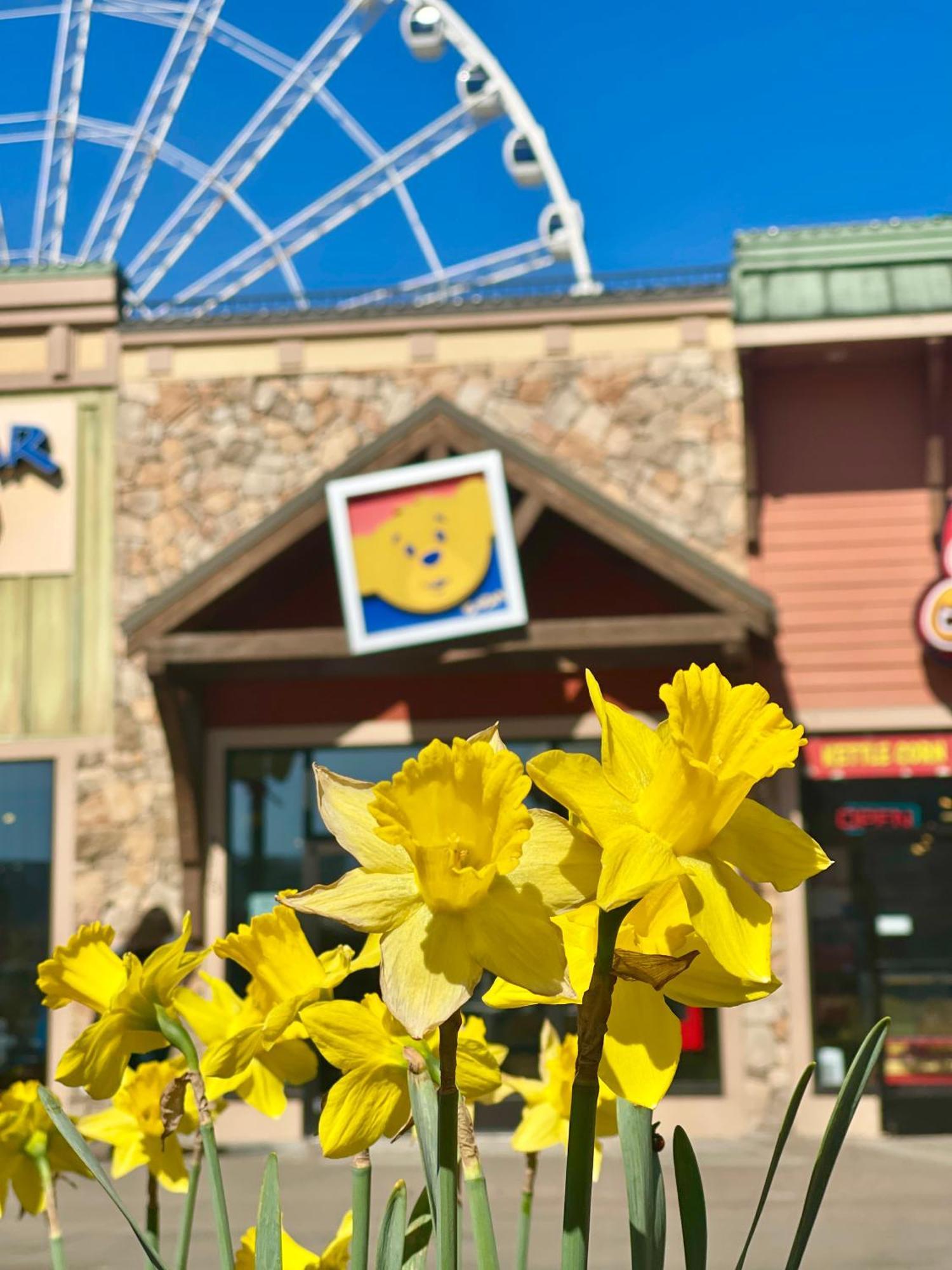 Dreams Come True Villa Pigeon Forge Exterior foto